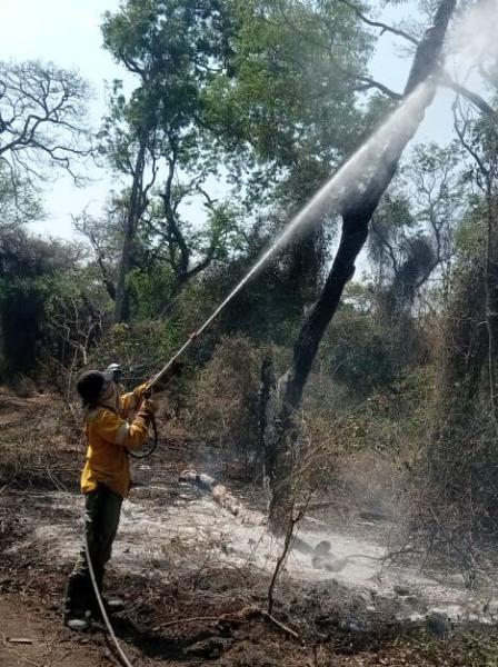 Persisten incendios forestales en municipios, a pesar de la lluvia