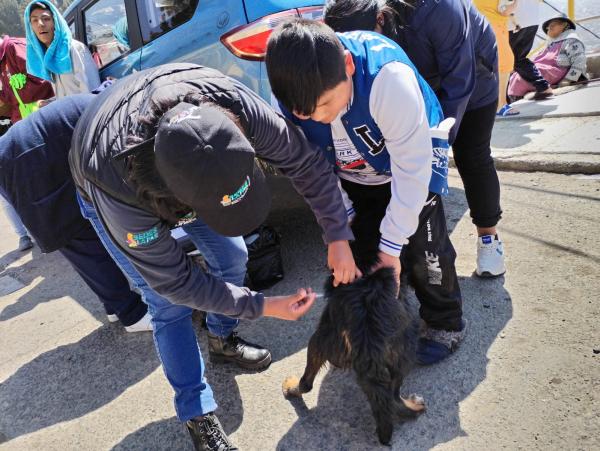 Indagan presunto descarte de vacunas  antirrábicas por parte de brigadistas