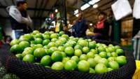 Sube el precio del limón en La Paz  tras la crisis del cítrico en Perú