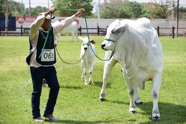 Comenzó Expocruz 2023 con  33 delegaciones internacionales