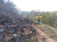 Incendios en Santa Cruz afectan a 65.300 hectáreas