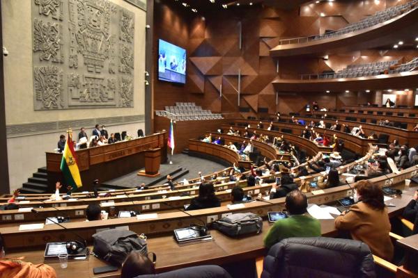 Señalan que mayoría del MAS  en diputados ya no está segura