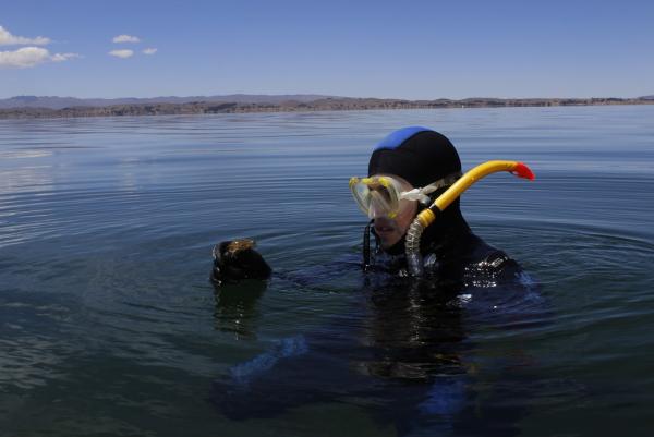 Pérdida de ecosistemas de fauna y flora por  sequía son irrecuperables en el lago Titicaca