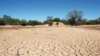 Sequía mata casi 9 mil cabezas  de ganado en el corazón gasífero