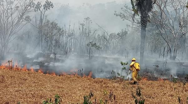 Conade exige abrogar  leyes “incendiarias”