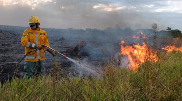 Identifican a tres grupos autores de  la tala e incendios en Santa Cruz