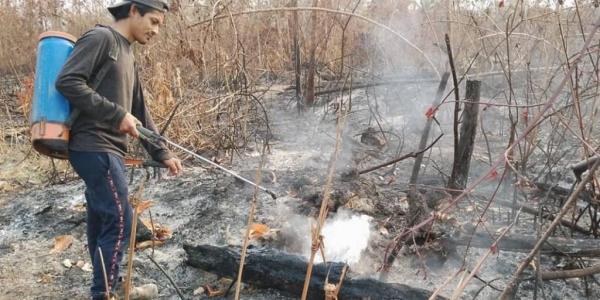 Bomberos forestales de la Gobernación ingresan  a El Choré sin acompañamiento de la Policía