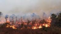 Legisladoras proponen crear ley para no dotar tierras afectadas