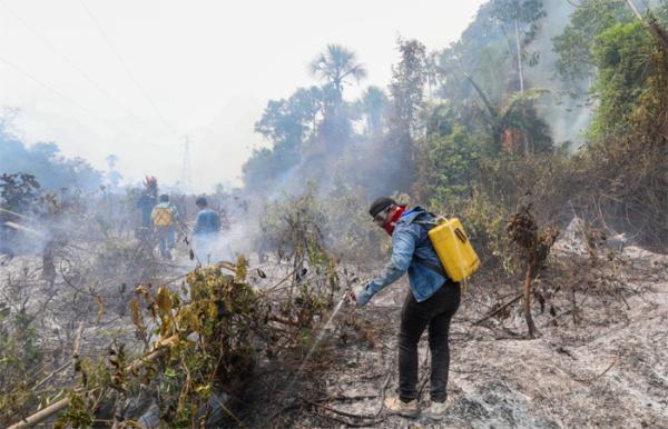 Beni reporta pérdida de 1,5  millones hectáreas de bosque