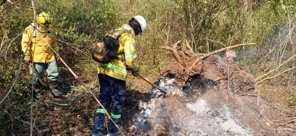 Se reactivan los incendios  forestales en Santa Cruz