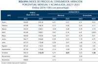 Economía boliviana cerca  un aterrizaje forzoso