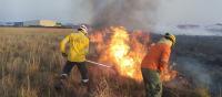 Suben a siete los incendios  forestales activos en Santa Cruz