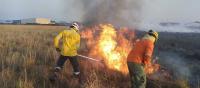 Santa Cruz con 12 incendios  forestales en 7 municipios