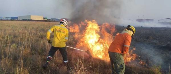 Santa Cruz con 12 incendios  forestales en 7 municipios