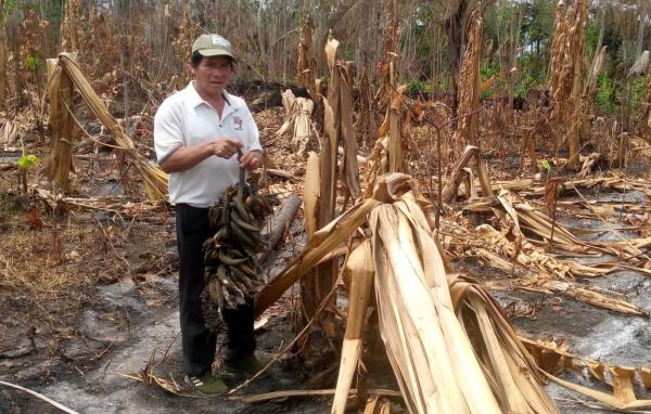 El Tipnis arde, van 11 mil hectáreas  quemadas e indígenas exigen atención