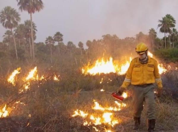 Santa Cruz reporta 14 incendios  forestales en ocho municipios