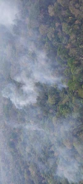 Casi 3 millones de hectáreas afectadas  por los incendios forestales en el país