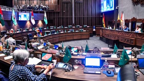 “Arcistas y evistas” en el Senado rechazan  tratar abrogación de «leyes incendiarias»