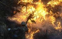 Mientras los incendios destruyen bosques  periodistas denuncian censura informativa