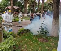Cinco municipios paceños registran casos por dengue