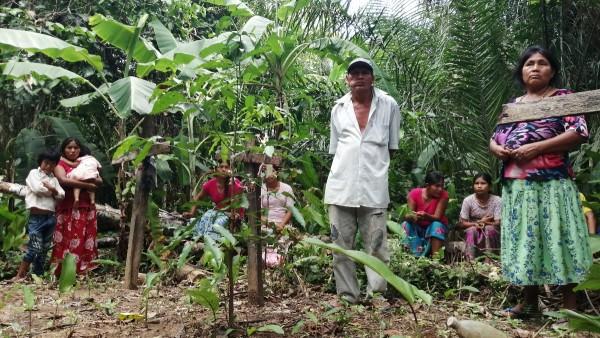 ONU recomienda garantizar  supervivencia de los tsimanes