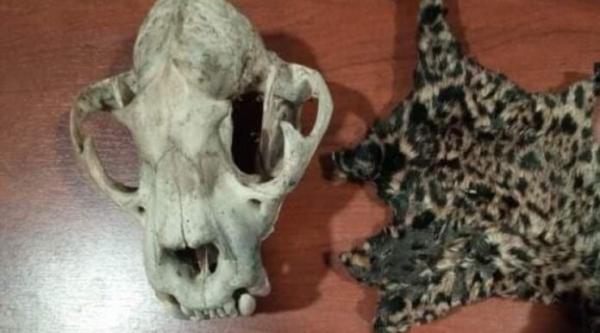 Aprehenden a acusados de  vender animales silvestres