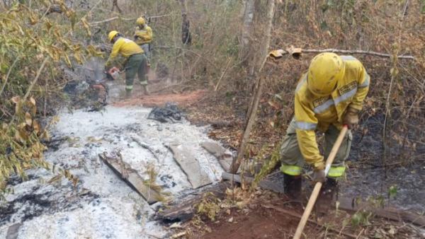 Disminuyen a 8 los incendios forestales