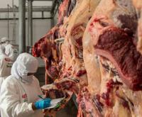 Bolivia elevó producción de carne bovina en 2023