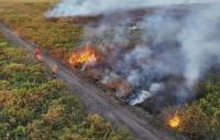 Un 96% de incendios está  bajo control en el Pantanal