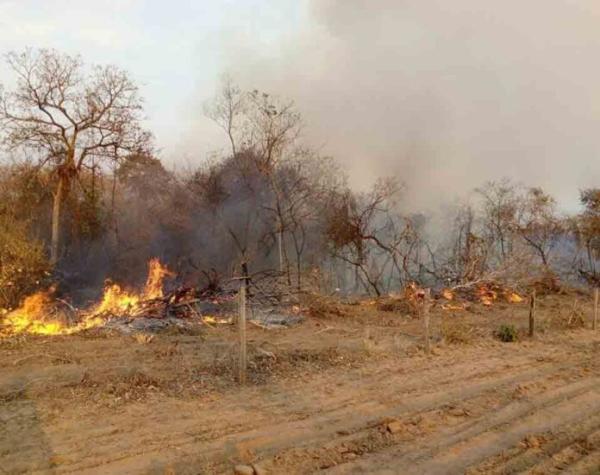 Combaten aún ocho incendios en los departamentos de Beni y Santa Cruz