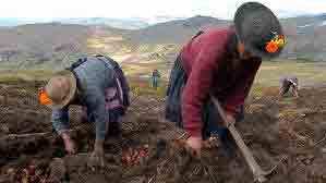 Anunciarán programas y acciones  a favor de pequeños productores