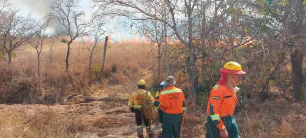 Piden activar mecanismo de ayuda  internacional para sofocar incendios