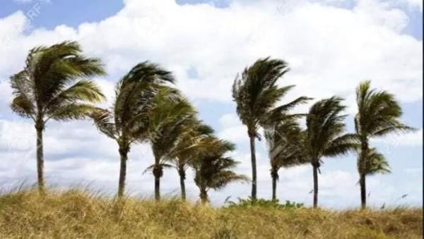 Santa Cruz tendrá clima caluroso y vientos con velocidades de 100 km por hora