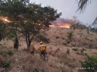 Diputada pide atención  a desastre por incendios