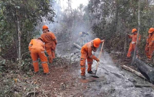 Defensa reporta 2.645 focos  de calor a nivel nacional