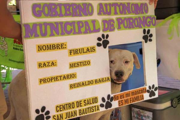 Campaña de vacunación contra  rabia canina comienza el sábado