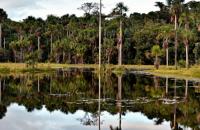 Cuestionan posible legalización  de mercado de carbono en Bolivia