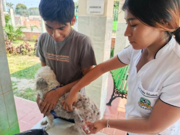 Campaña de vacunación contra  rabia cubre 73% entre perros y gatos