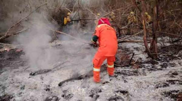 ABT activa 48 procesos penales por incendios