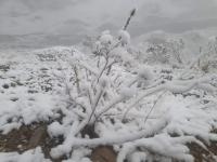 Tarija y Santa Cruz tuvieron nevadas  sorpresivas en sus serranías y valles