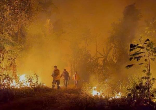 Suman 12 viviendas destruidas por incendios forestales en Santa Cruz