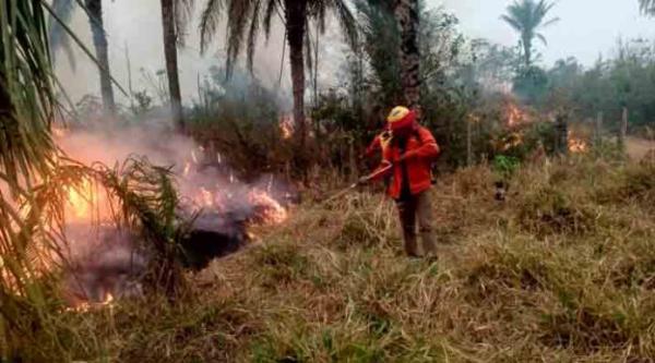 Fuego daña a 54 comunidades  de Santa Cruz, Beni y Pando