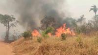 Un grupo de bomberos dejan línea de fuego por falta de apoyo de autoridades