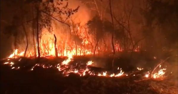 Advierten inacción deliberada en incendios para ampliación de frontera agropecuaria