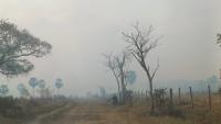 Sospechan de incendios premeditados para agilizar la ampliación agrícola