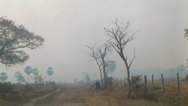 Sospechan de incendios premeditados para agilizar la ampliación agrícola