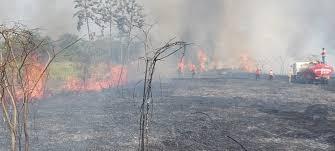 Mientras el fuego destruye, ministerios aprovechan en comprar automóviles