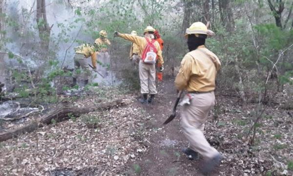 Incendios en Santa Cruz aumentan a diario