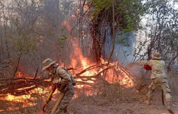 Incendios amenazan producción de alimentos por pérdida de pastizales e infraestructura