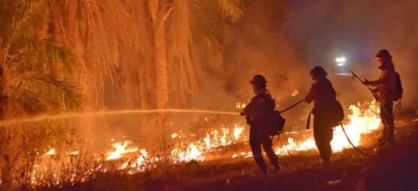 Incendios dejan pérdidas cuantiosas a  la salud, economía y al medio ambiente